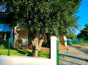 Villa Oasis етаж1